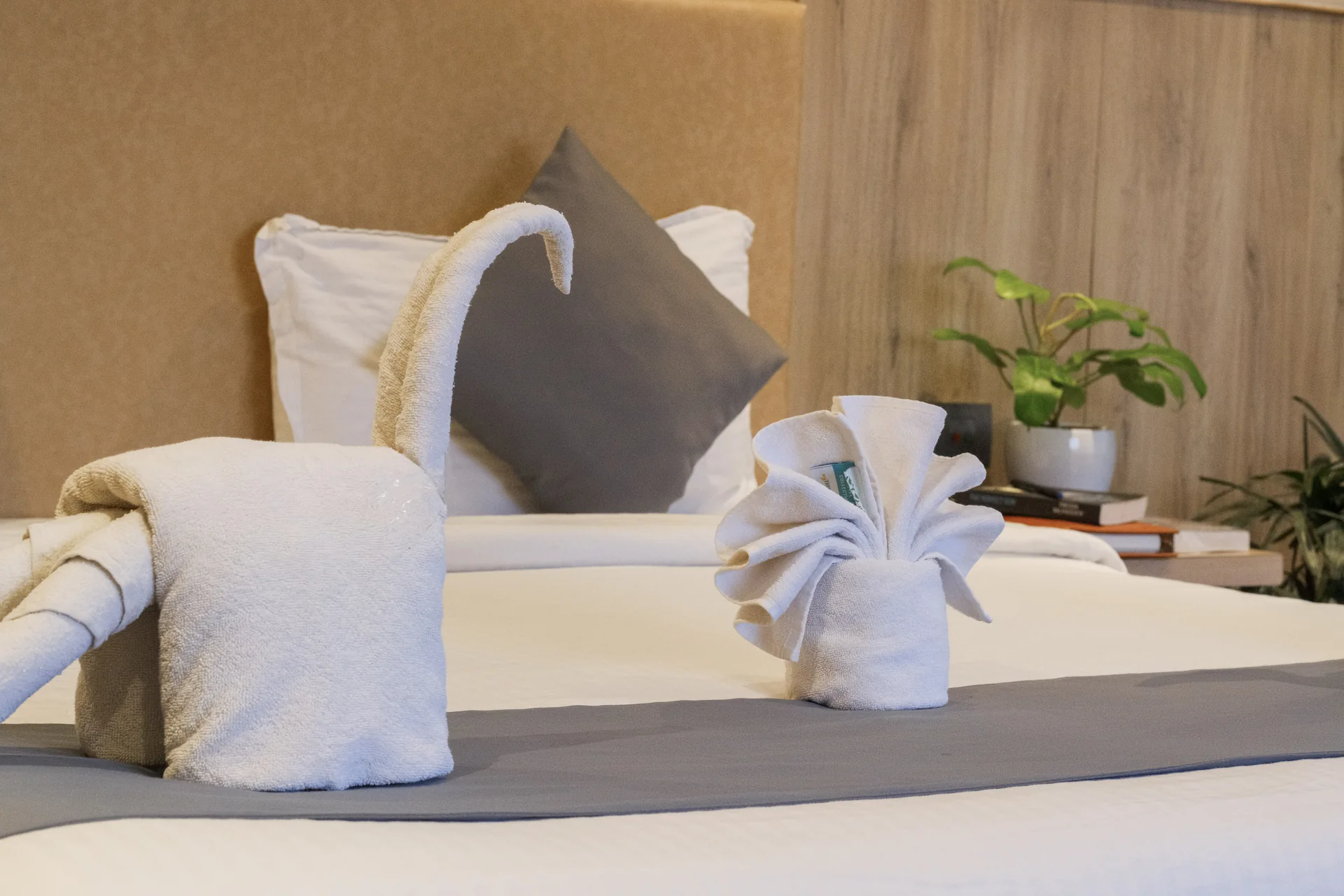Elephant-shaped towel arrangement on a guest room bed beside a sunlit window